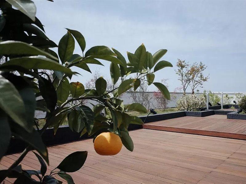 Hi Residences Jeju Exterior foto